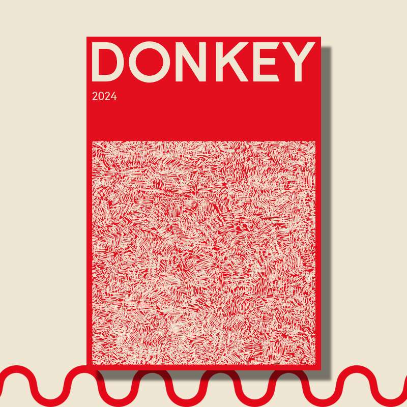 DONKEY - catálogo SS24